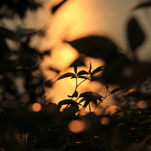 丰满女人裸做爰视频
